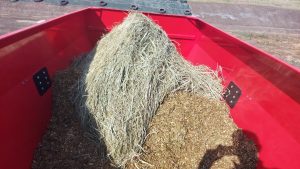 Komponenty paszy TMR w paszowozie poziomym Intermix R12