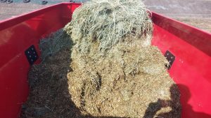 Zbiornik z paszą w paszowozie Intermix R12