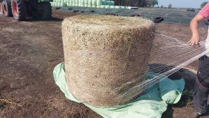 Balot do przygotowania paszy treściwej dla krów TMR