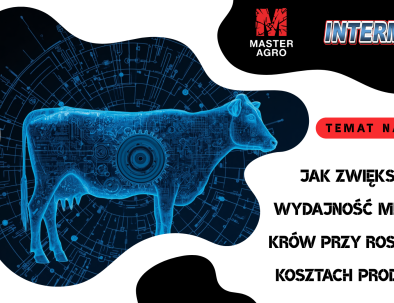 jak zwiększyć wydajność krów