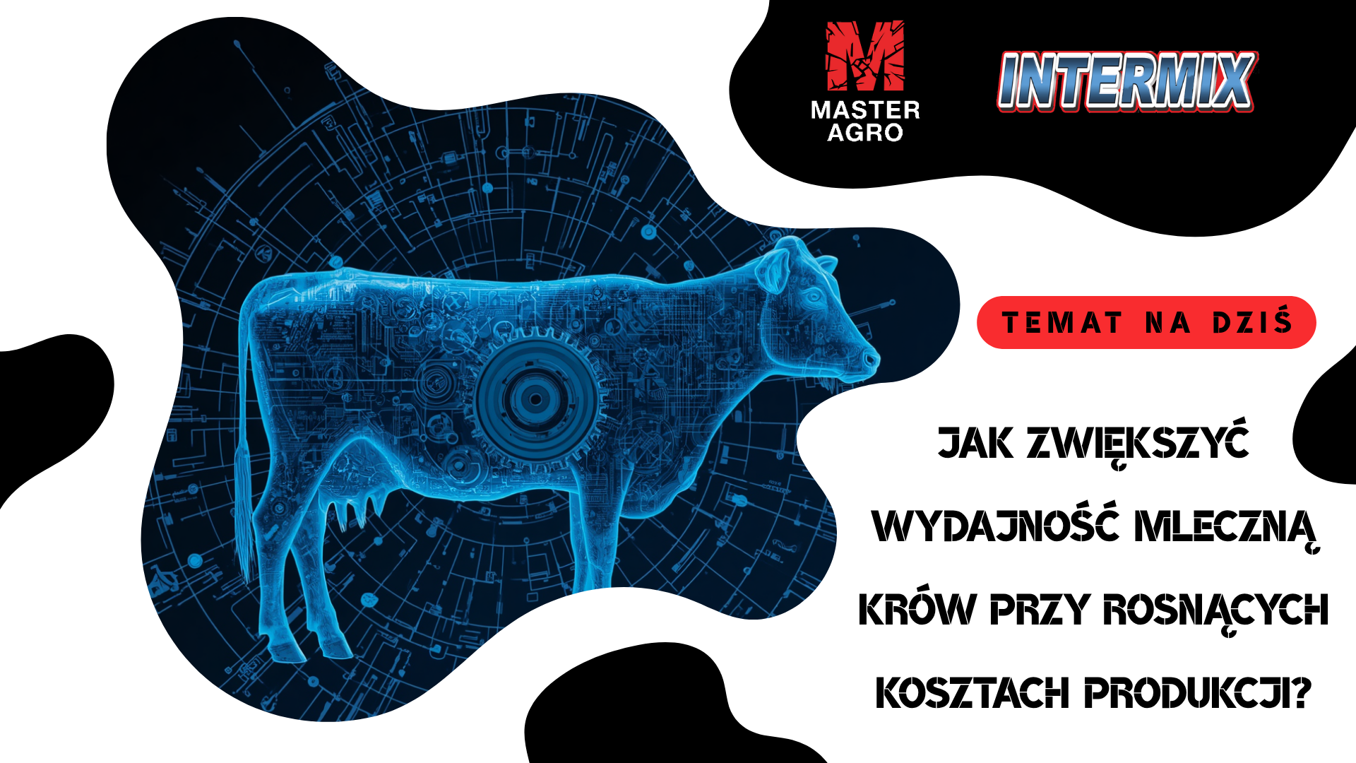 Temat na dziś: Jak zwiększyć wydajność mleczną krów przy rosnących kosztach produkcji?